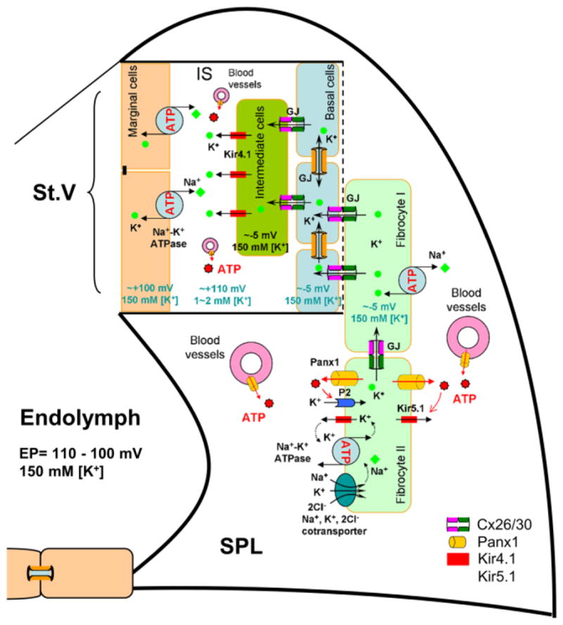 Fig. 9