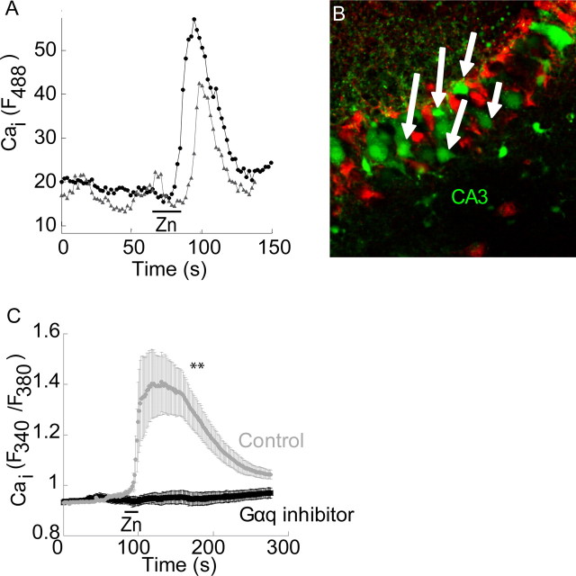 Figure 3.