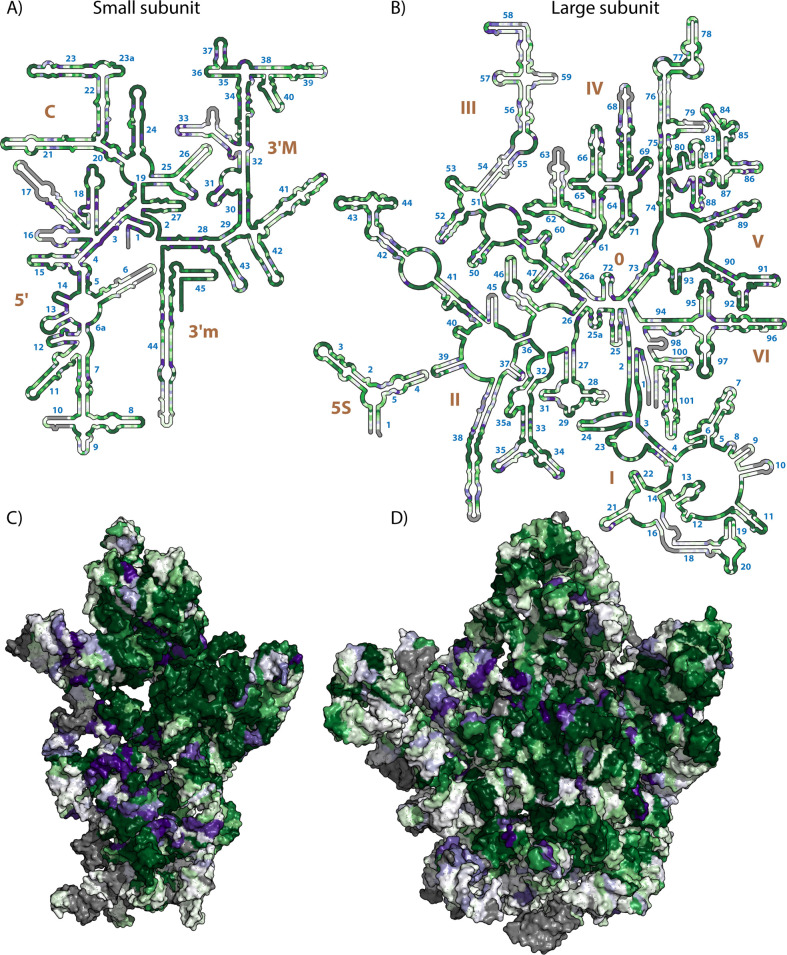 Fig 5