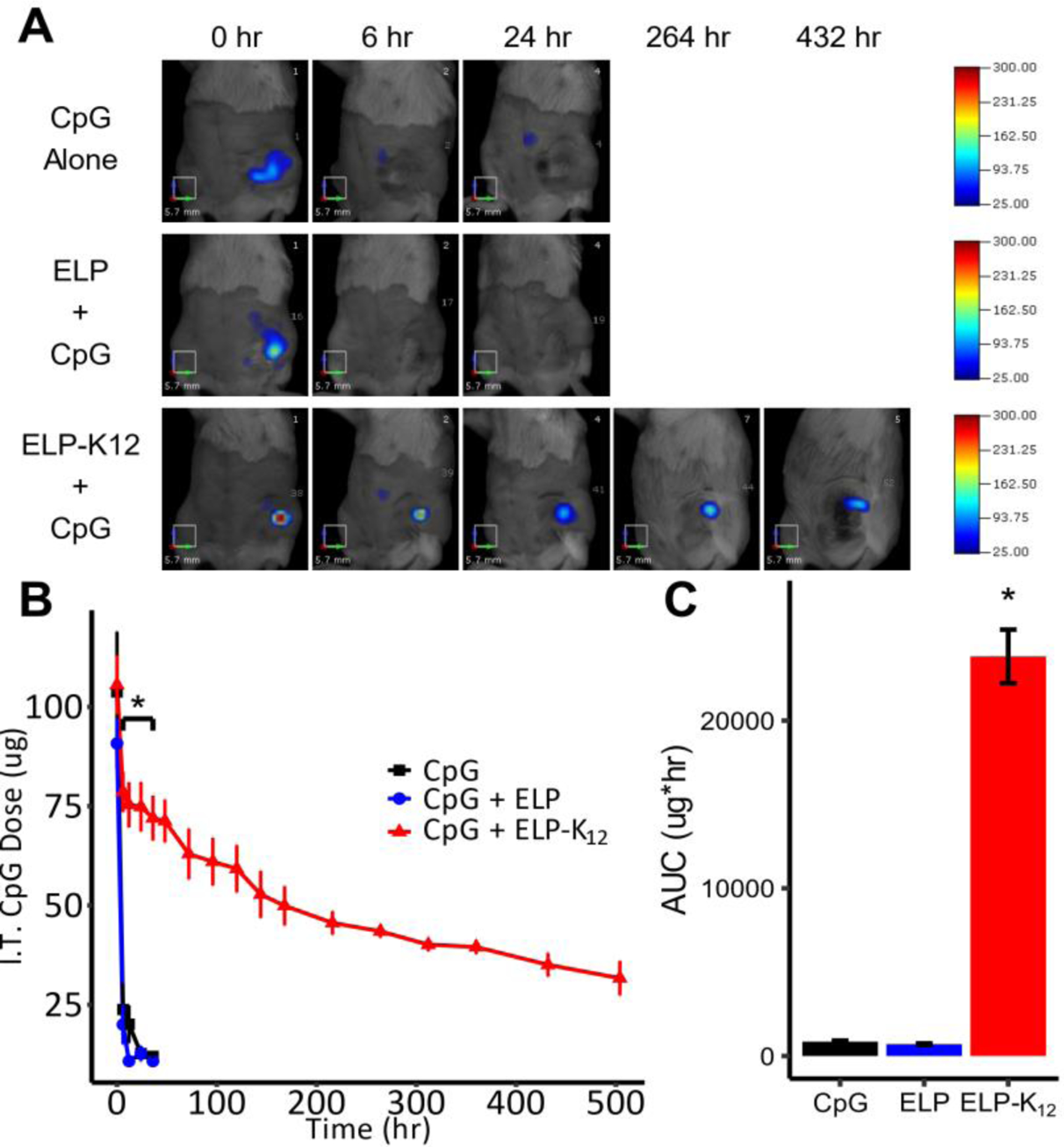 Figure 5: