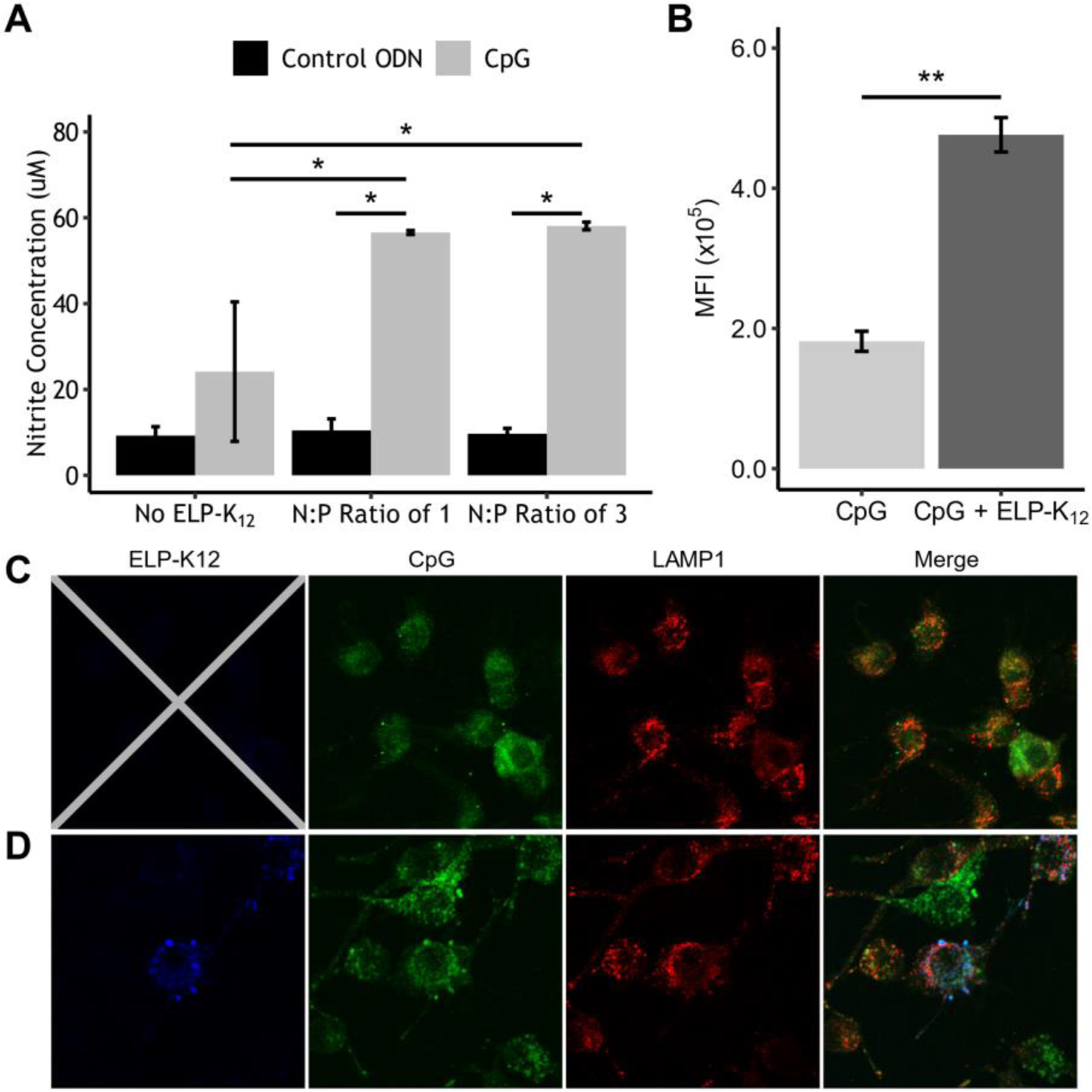 Figure 4: