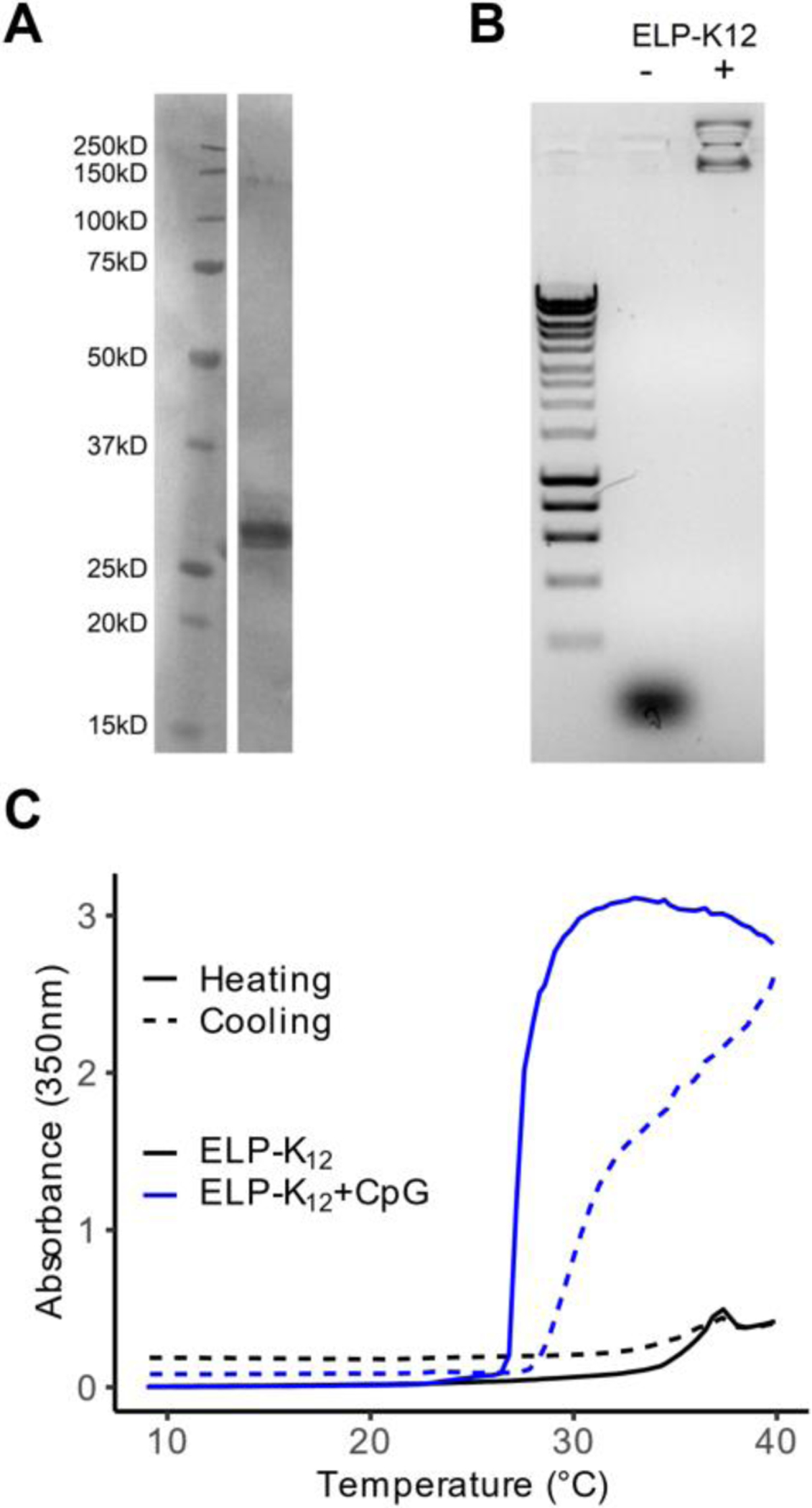 Figure 3: