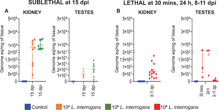 FIG 3