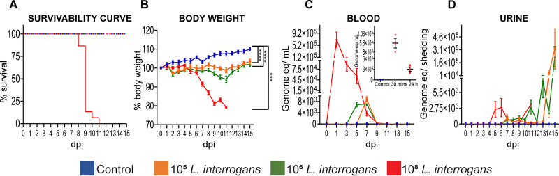 FIG 2