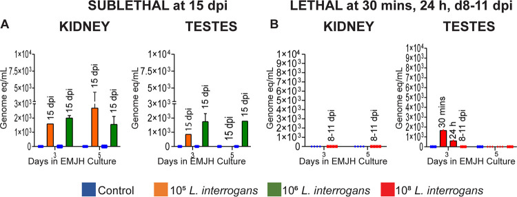 FIG 4