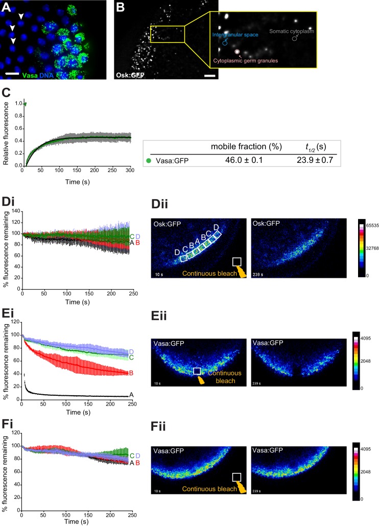 Figure 1—figure supplement 1.