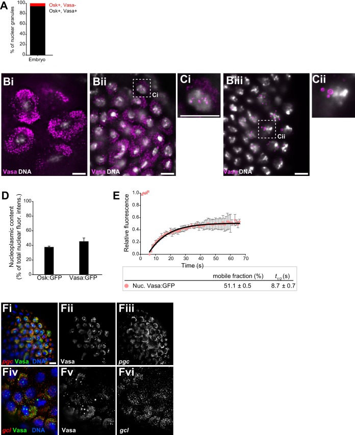 Figure 2—figure supplement 1.