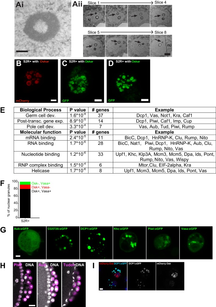 Figure 3—figure supplement 1.