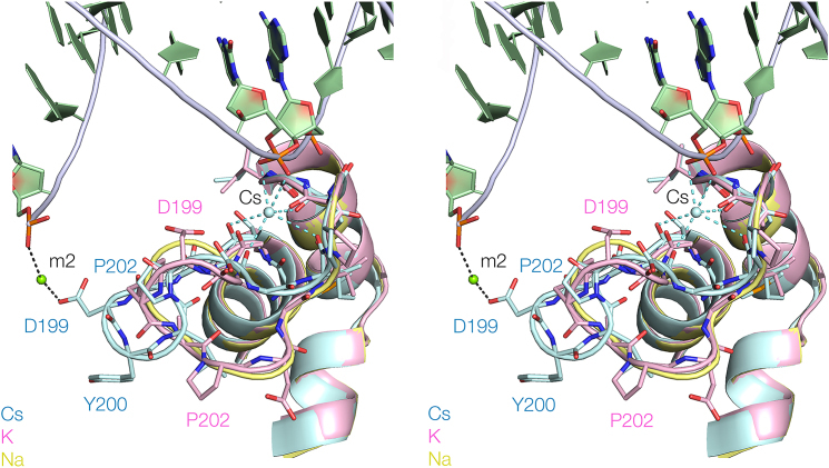 Figure 5.