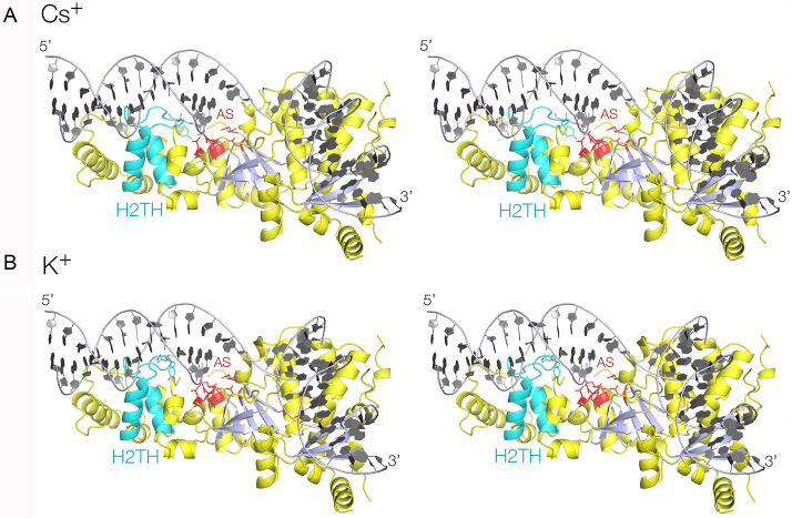 Figure 3.