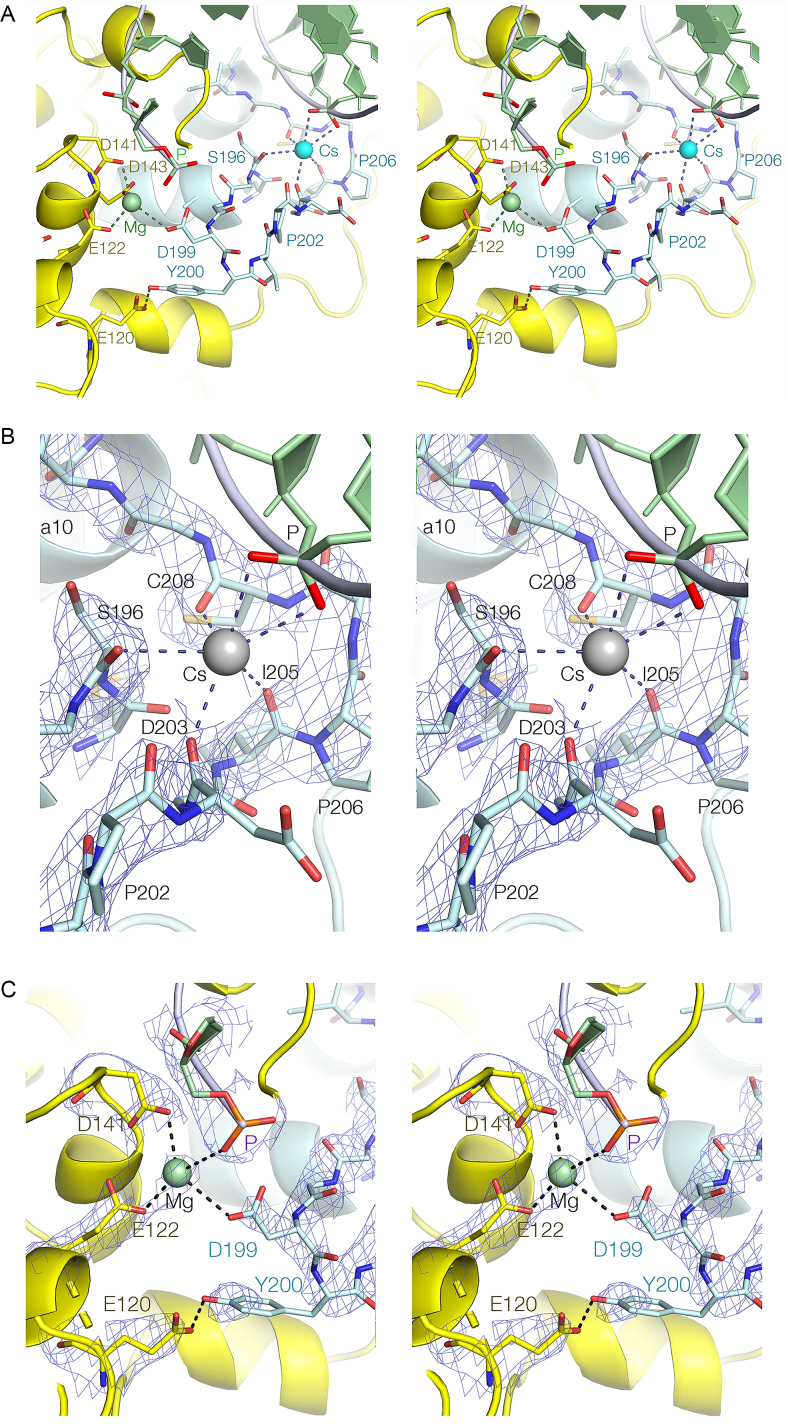 Figure 4.