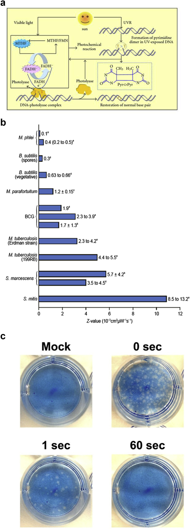 Figure 2