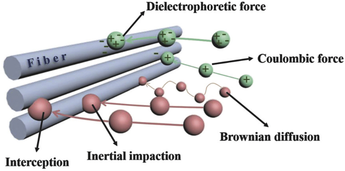 Figure 6