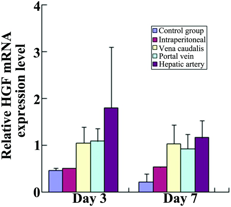 Figure 7