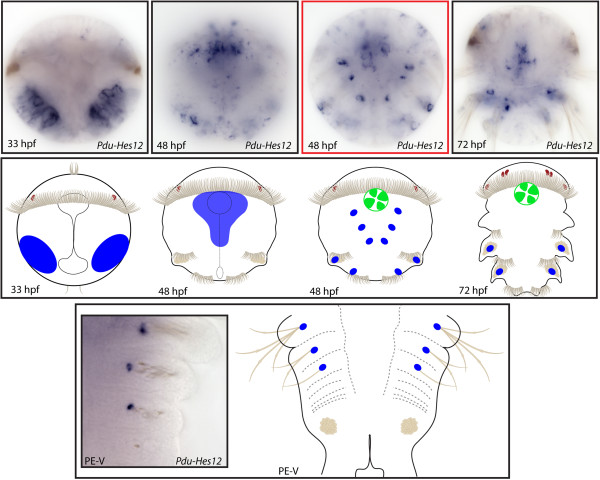 Figure 14