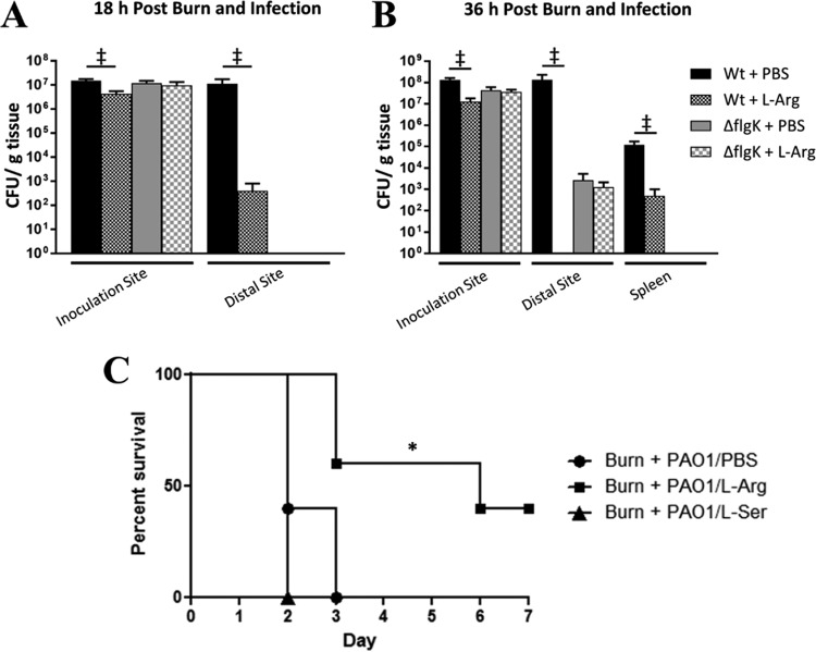 FIG 3 