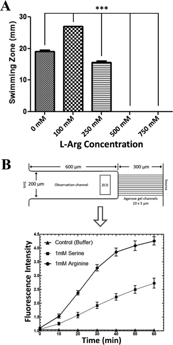 FIG 2 