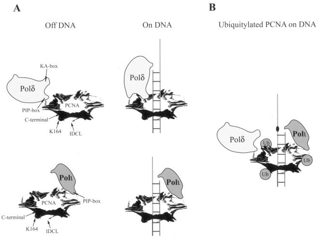 FIG. 5.