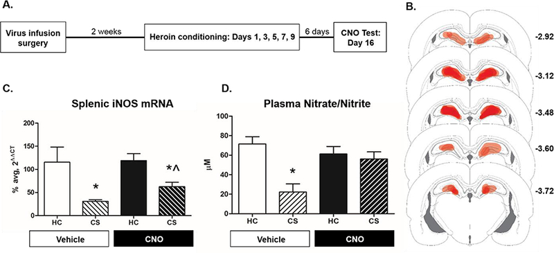 Figure 3: