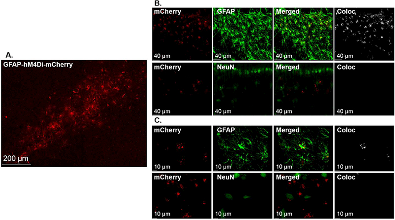 Figure 4: