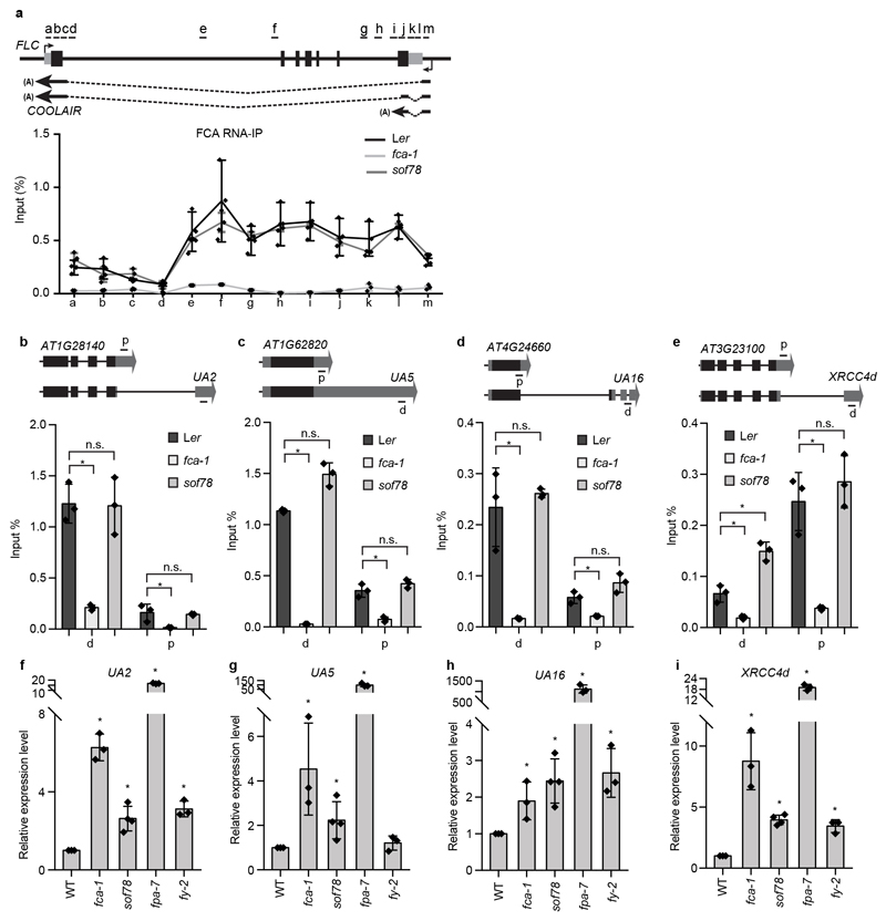 Extended Data Fig. 8