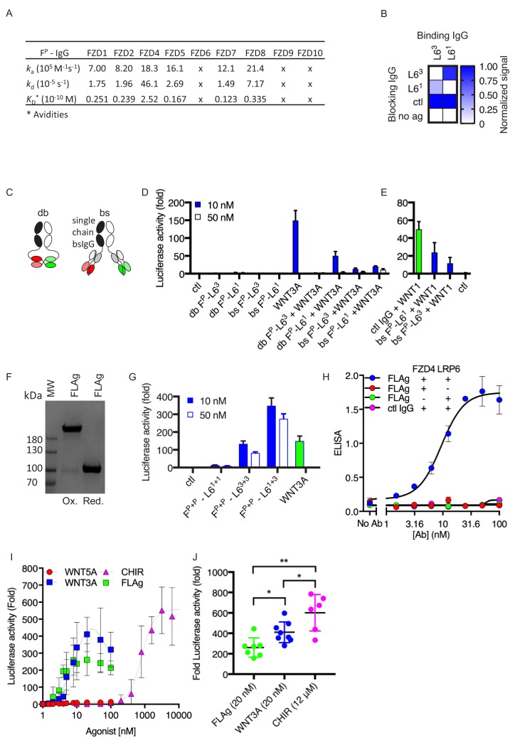 Figure 1—figure supplement 1.