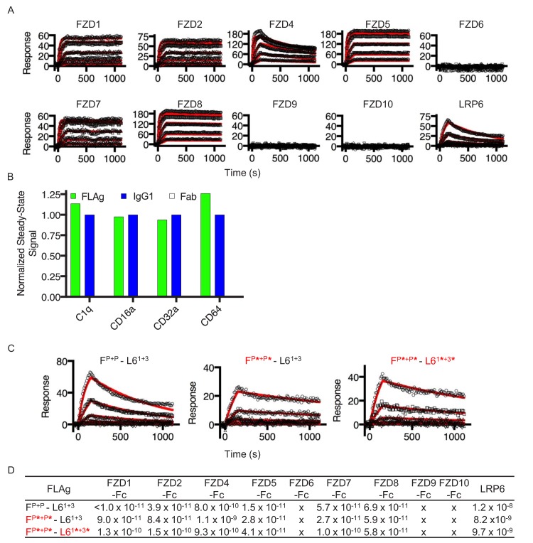 Figure 2—figure supplement 1.