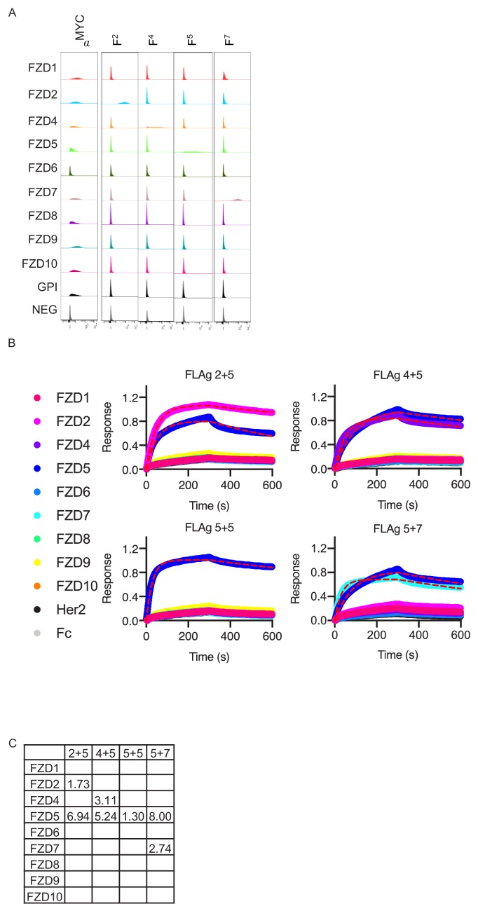 Figure 3—figure supplement 1.