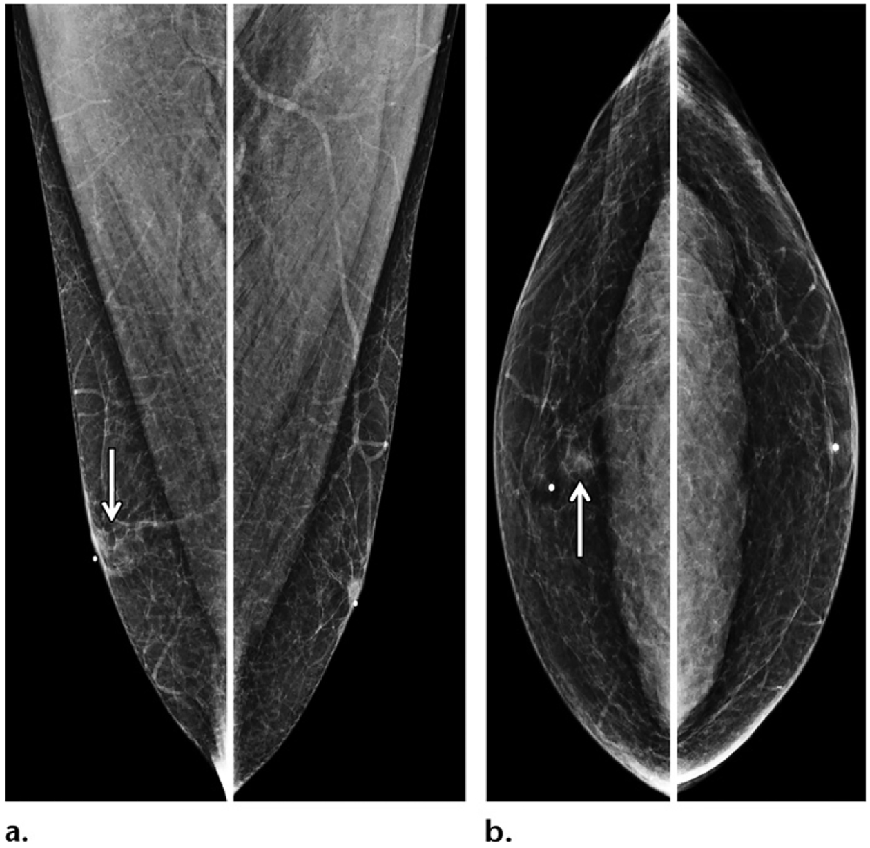 Figure 13.