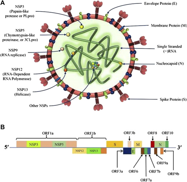 FIGURE 1