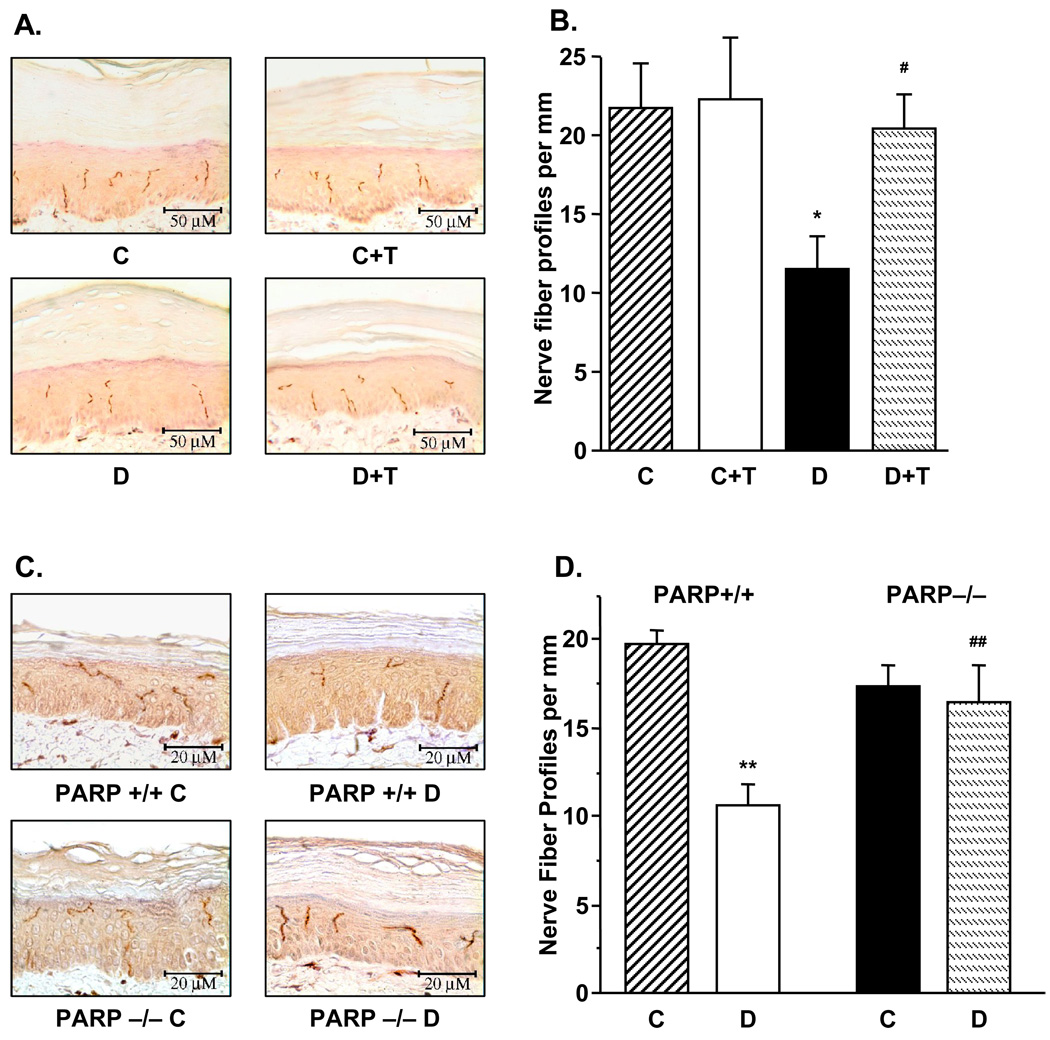 Fig.3