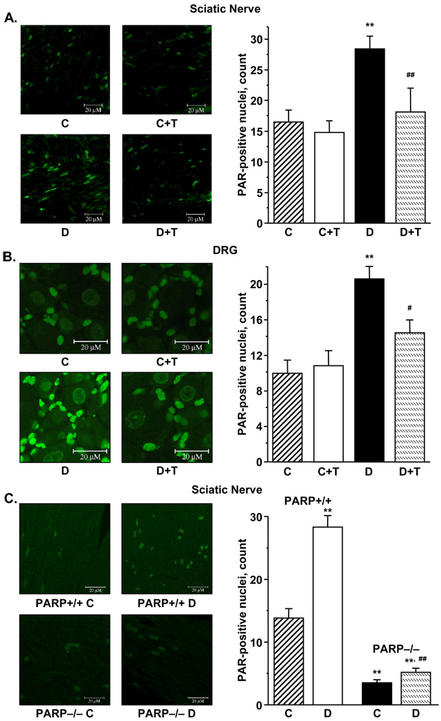 Fig.4