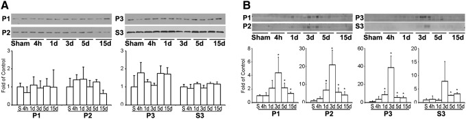 FIG. 6.