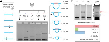 Fig. 4