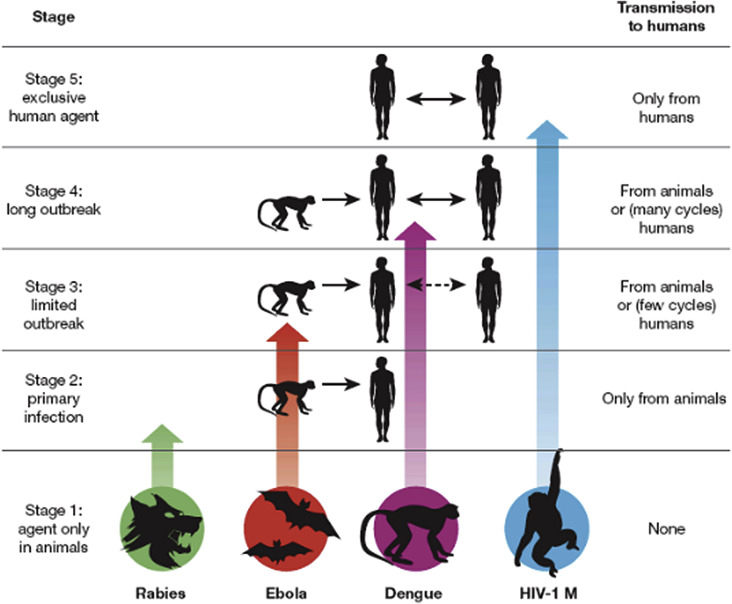 Fig. 1
