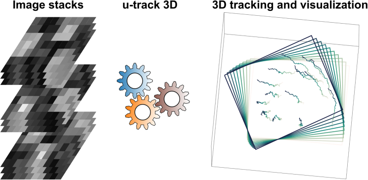 Figure 1