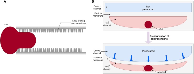 FIG. 5.