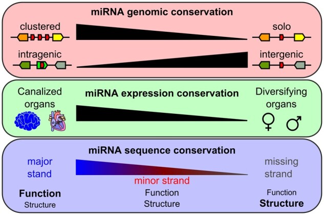 Fig. 10.