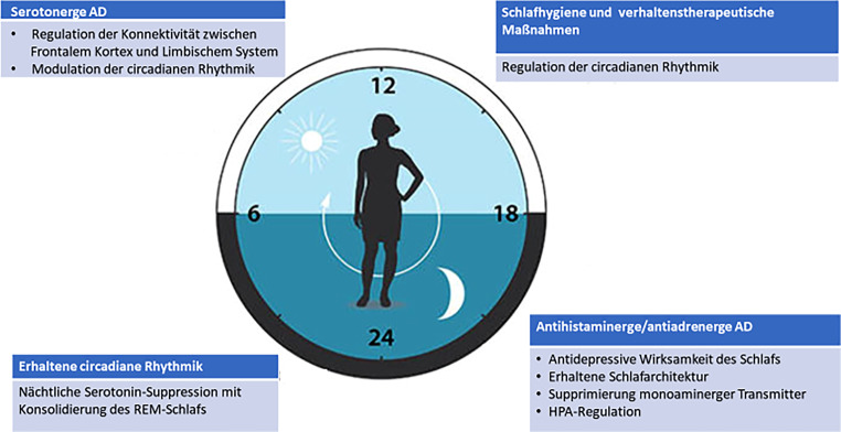 graphic file with name 40211_2023_466_Fig2_HTML.jpg