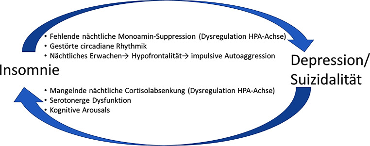 graphic file with name 40211_2023_466_Fig1_HTML.jpg