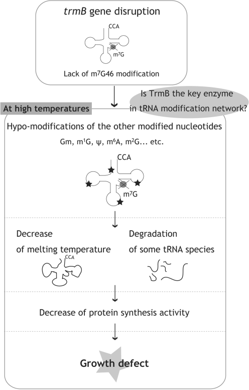 Figure 9.