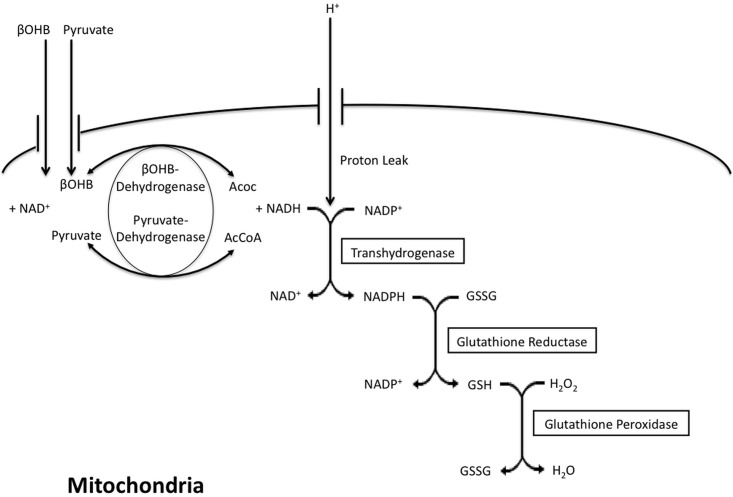 Fig 8