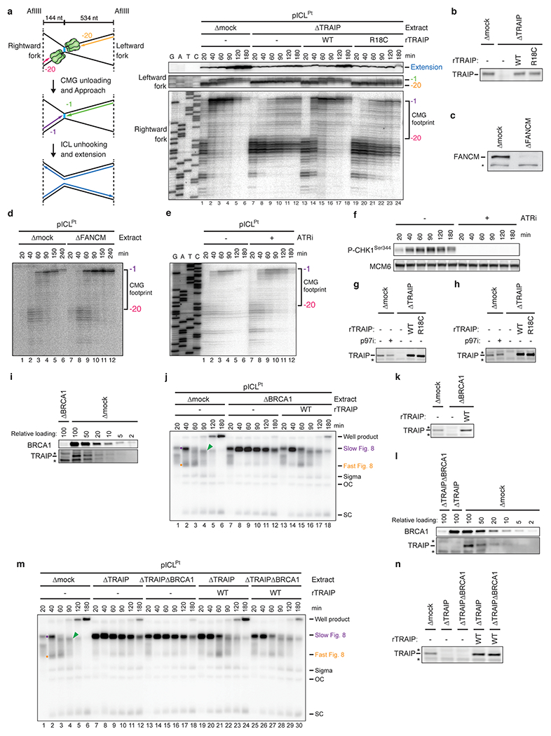 Extended Data Fig. 3 |