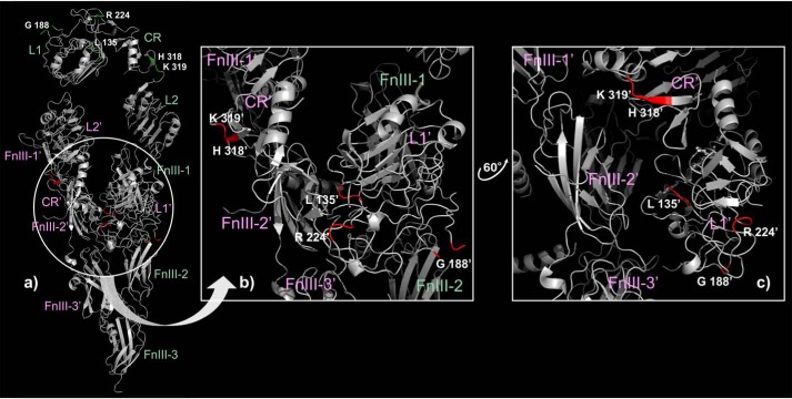 Figure 6.