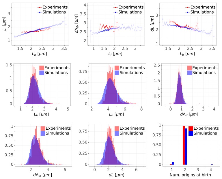 Figure 5—figure supplement 4.