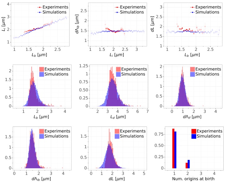 Figure 5—figure supplement 2.