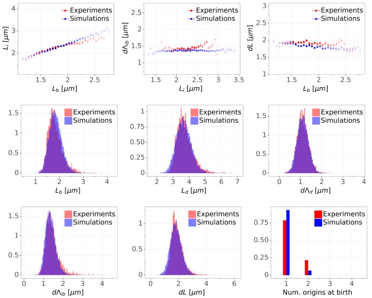 Figure 5—figure supplement 1.