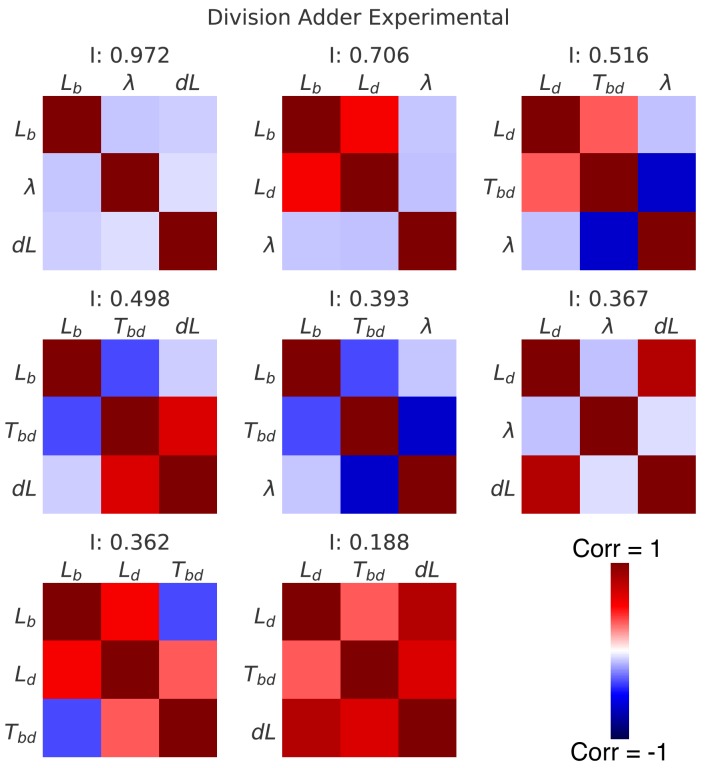 Figure 6—figure supplement 1.