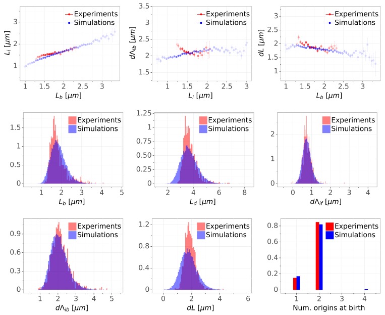 Figure 5—figure supplement 3.