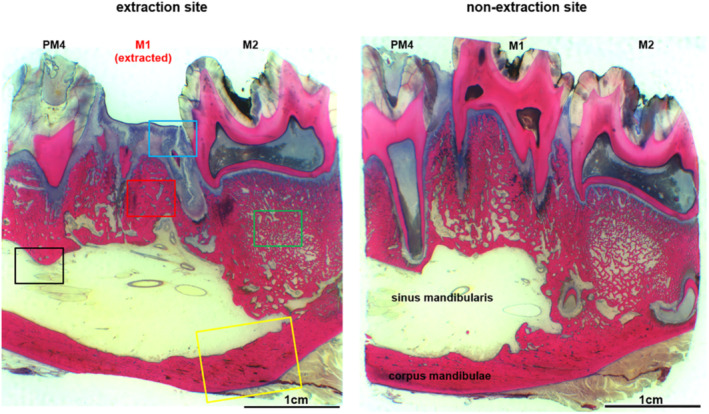 Fig 8